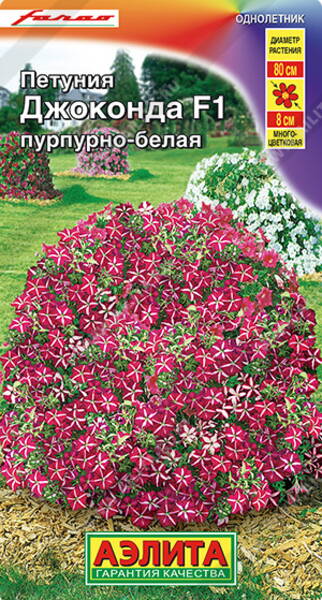 Petunie "Gioconda Purple-White" F1